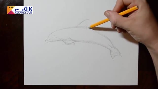 آموزش طرح کشیدن از یک دلفین در حال پرش با مداد سیاه 