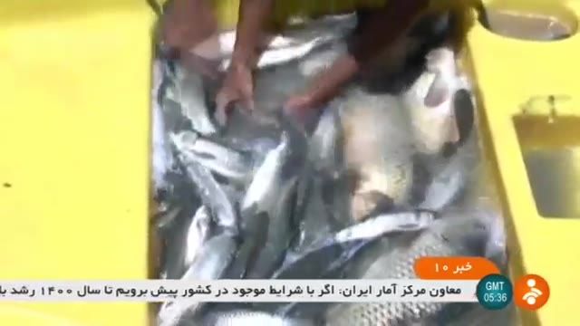 Iran Fish farming pool, Sistan & Baluchestan province استخر پرورش ماهی سیستان و بلوچستان ایران
