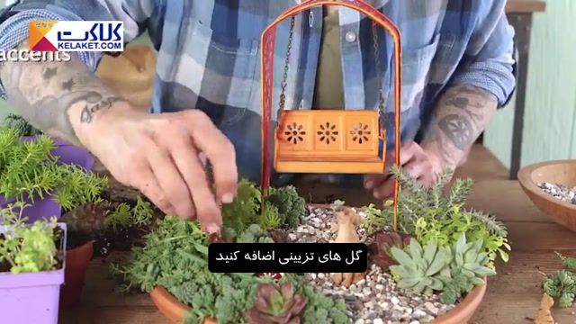 آموزش روشی برای درست کردن یک باغچه رومیزی شیک با استفاده از گیاهان گوشتی