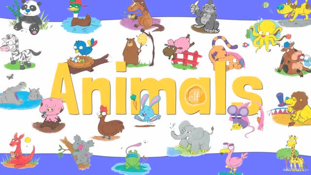 حیوانات 