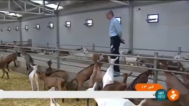 Iran Sheep & Goat breeding research & development farm, Firouz Kuh پژوهش گوسفند و بز فیروزکوه