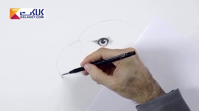 یاد گرفتن مرحله به مرحله نقاشی با مداد : کشیدن عقاب 