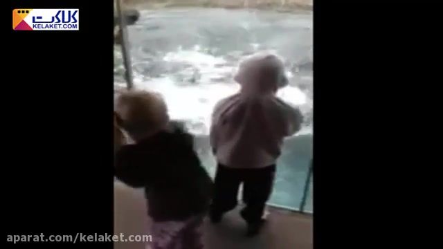 ترساندن بچه ها توسط حیوانات در باغ وحش 