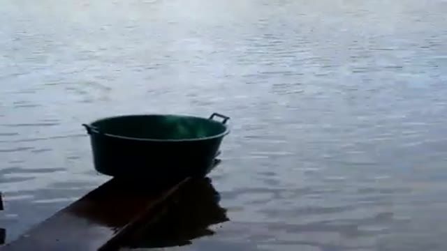 ‫ماهیگیری‬‎