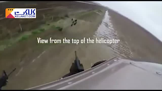 کنترل جمعیت خوکها با کشتن آنها با شلیک گلوله از هلیکوپتر 