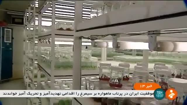 Iran Plants Tissue Cultivation method روش کشت بافت گیاهان ایران