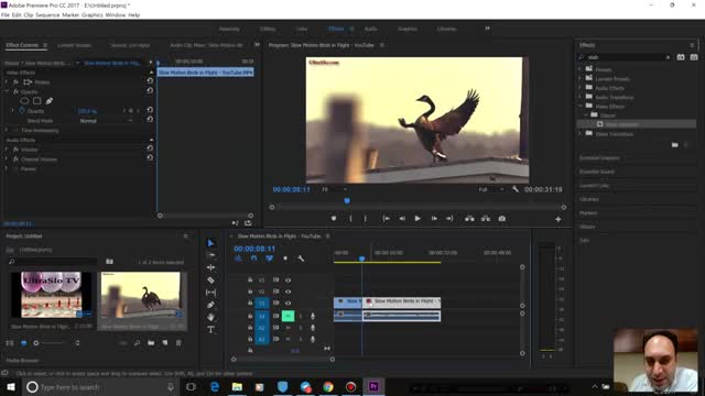 ‫96- ساخت Frame hold در Adobe premiere - آموزش پریمیر سعید طوفانی‬‎