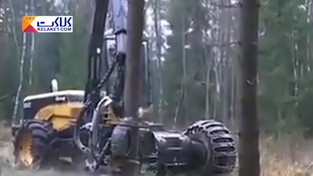 ماشینی مخصوص قطع و برش درختان با سرعت و قدرت باورنکردنی