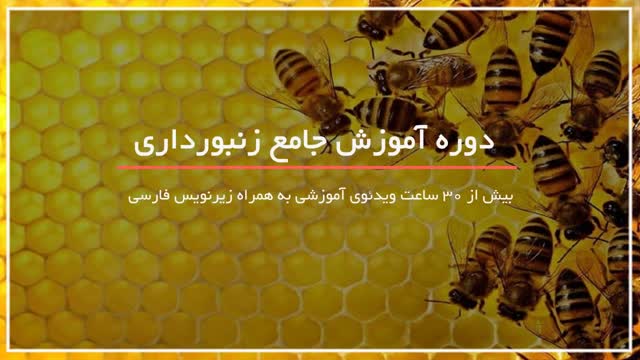 آموزش کامل پرورش زنبور عسل بصورت گام به گام