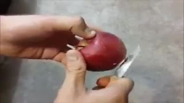 ‫اخطار ! پوشش واکسی بر روی سیب (سرطان زا)‬‎