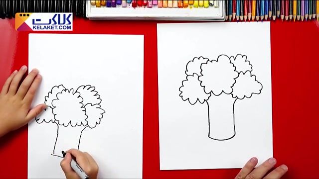 آموزش نقاشی به کودکان و کشیدن یک کلم بروکلی برای آشنایی بچه ها با سبزیجات
