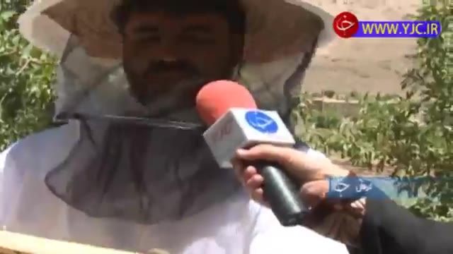 فعالیت حجت الاسلام رحمانی در زمینه کشاورزی و زنبورداری در کرمان