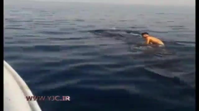 قایق سواری پسرهای بوشهری بر پشت نهنگ های خلیج فارس