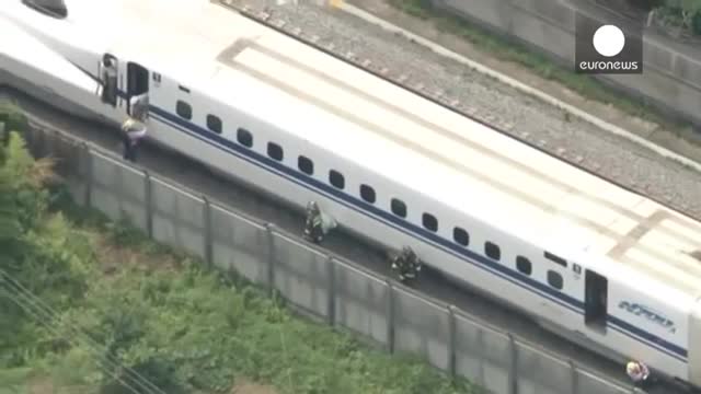 توقف اضطراری یک قطار در ژاپن در پی خودکشی یکی از مسافران