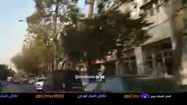 وضعیت نگران کننده ی درختان چنار خیابان ولیعصر تهران