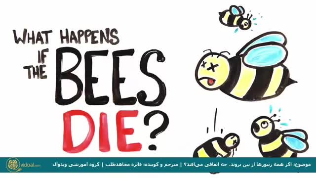‫اگر همه زنبورها از بین بروند، چه اتفاقی می‌افتد؟‬‎