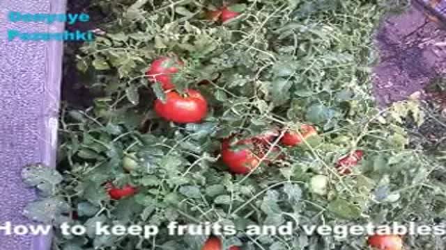 How to Keep Fruits and Vegetables.نگهداری سبزی ومیوه
