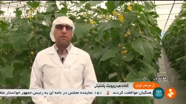 Iran Modern HydroPonic Greenhouse, Dasht-e Naz Mazandaran گلخانه هیدروفنیک دشت ناز مازندران ایران