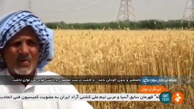 Iran Mechanized Wheat harvest, Ahwaz county برداشت مکانیزه گندم شهرستان اهواز ایران