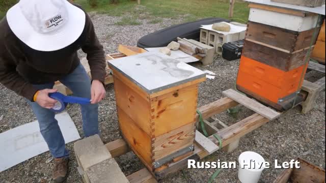آموزش کامل و جامع پرورش زنبور عسل 