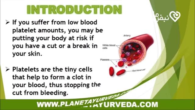 ‫10 ماده غذایی برای افزایش پلاکت خون‬‎