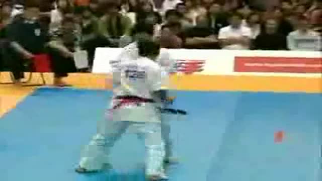 Andy Hug Kyokushin Karate