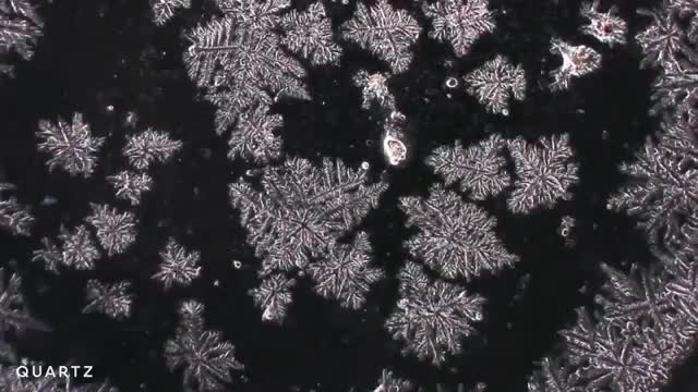 تصویر میکروسکوپی شگفت انگیز از قطره های اشک