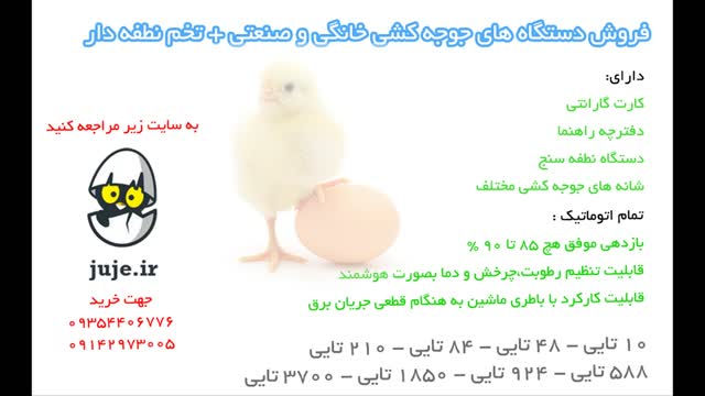 دستگاه جوجه کشی با گنجایش 10 عدد تخم،با کیفیت بالا و کاربری آسان- Chicken Device