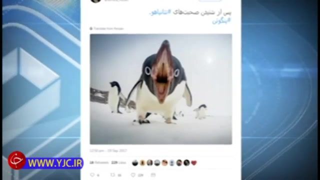 ادعای نتانیاهو در حمایت پنگوین های قطب از اسراییل!