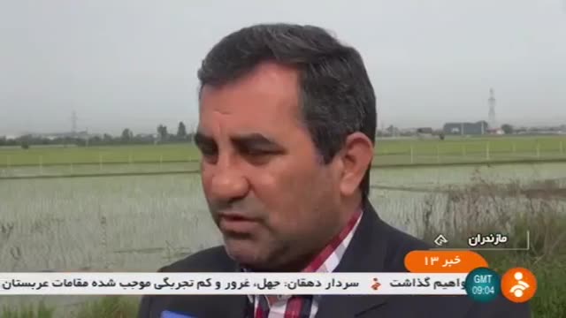 Iran Rice cultivation celebration, Mazandaran province جشن کاشت برنج استان مازندران ایران