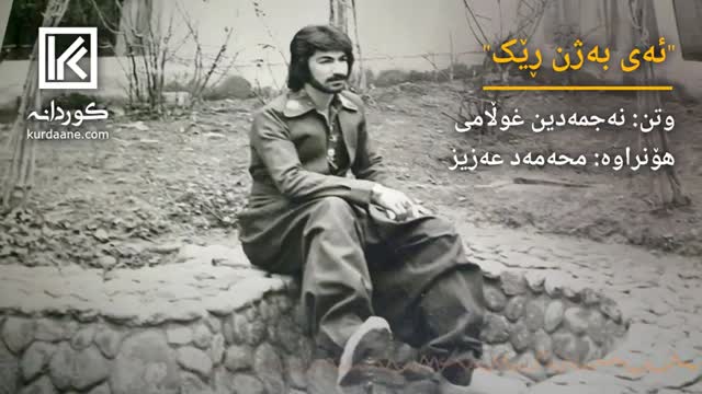 نجم الدین غلامی - ای به ژن ریک