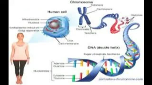 What is DNA?  .دی ان ای چیست؟