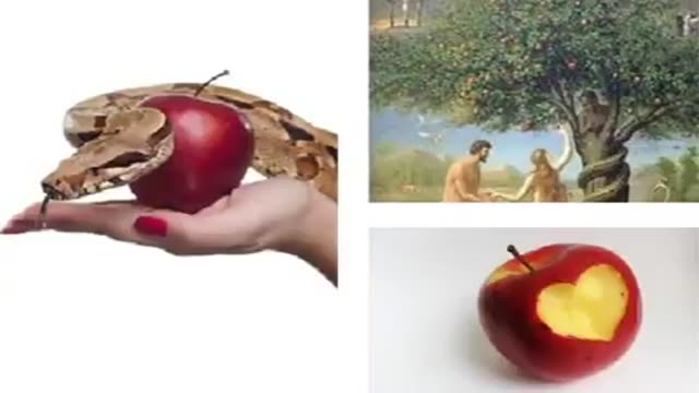 سیبی تو سر نیوتون نخورد!!!!