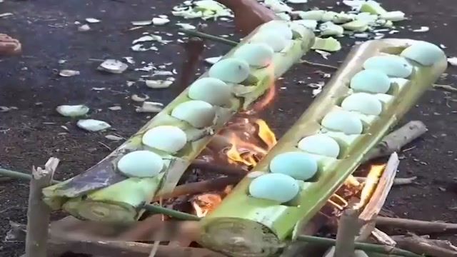 ترفندی جالب برای پختن تخم مرغ در جنگل با کمترین امکانات 