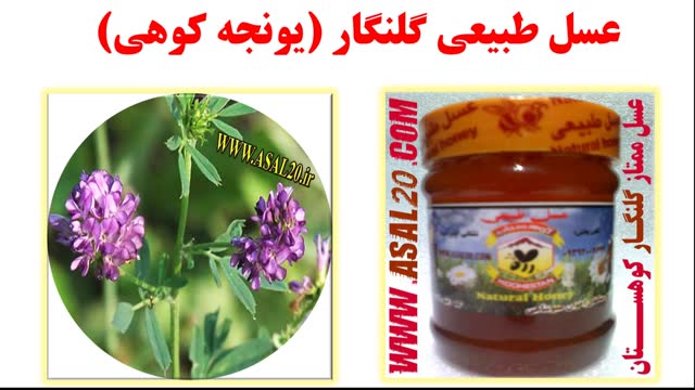 عسل طبیعی یونجه کوهی - خرید عسل کوهستان عموشاهی