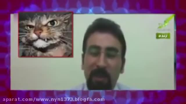 یک داعشی و گربه بازی در یک شبکه وهابی/شهرام احمدی و حکایت گربه بازی اش/ببینید ای