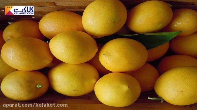 خاصیت عالیه لیمو شیرین و ترکیبات آن- ویژه سلامت-