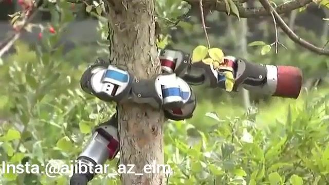 ساخت ربات شبه مار با قابلیت بالارفتن از درخت