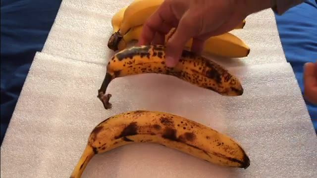 Top Secrets And Health Benefits Of Banana - روش های مصرف موز برای سلامتی و زیبایی و حفظ انرژی