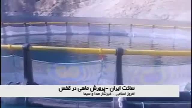 ساخت ایران - پرورش ماهی در قفس