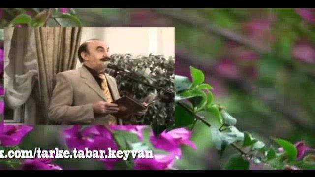 حافظ  سروده استاد مرتضی کیوان هاشمی شعر خوانی: انجمن ادبی صایب