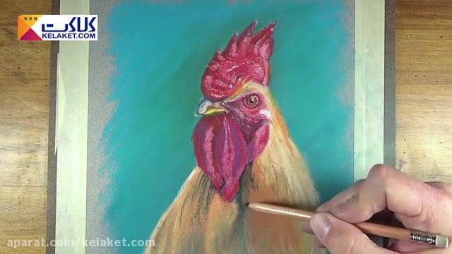 آموزش نقاشی با پاستل: کشیدن خروس