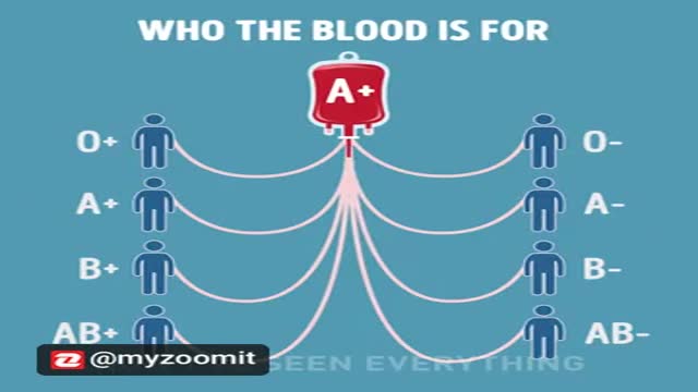 کدوم گروه‌های خونی میتونن به همدیگه اهدای خون داشته باشند؟