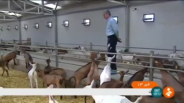 Iran Sheep & Goat breeding research & development farm, Firouz-Kuh پژوهش گوسفند و بز فیروزکوه