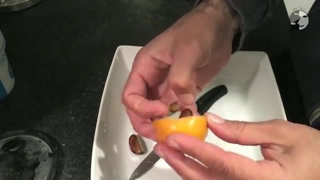 How To Eat Loquat Fruit - معرفی و آموزش خوردن میوه ازگیل ژاپنی