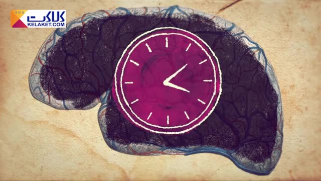تحقیقات جالبی را در مورد فهم بدن از گذر زمان توسط میشل شف