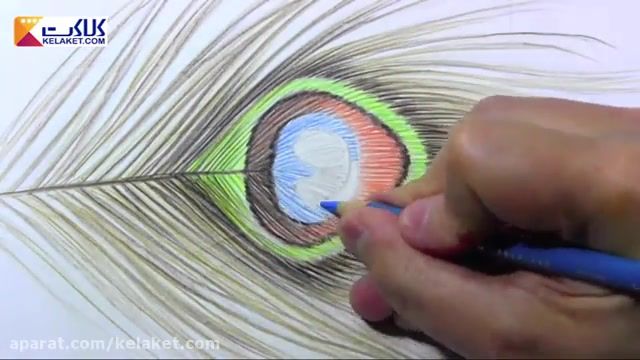 آموزش نقاشی با مداد رنگی:کشیدن پر طاووس