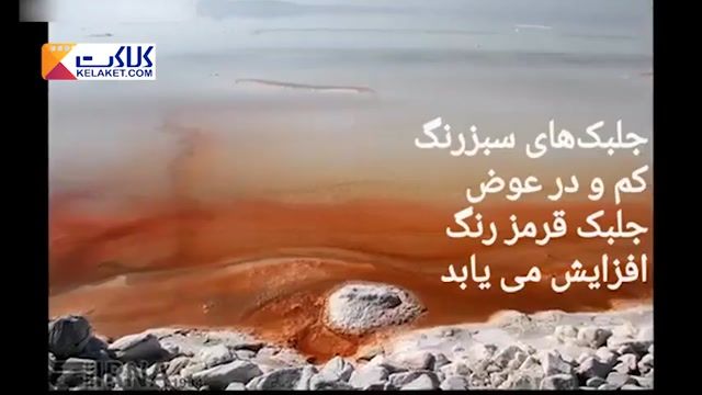 سرخ شدن دریاچه ارومیه !!!