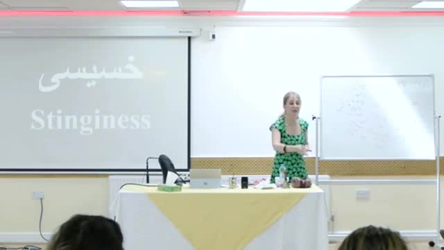 Dr. Mitra babak, London 2017 Seminar, دکتر میترا بابک، سمینار جدید لندن، نقاط ضعف و اصولی شدن