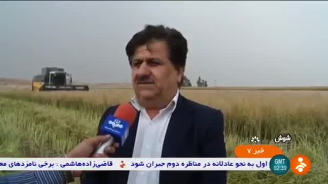 Iran Mechanized Canola harvesting, Shoush county برداشت مکانیزه کلزا شهرستان شوش ایران